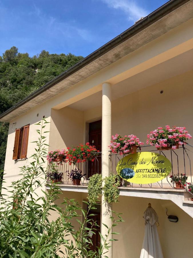 La Casa Dei Nonni Hotel Torre Orsina Exterior photo